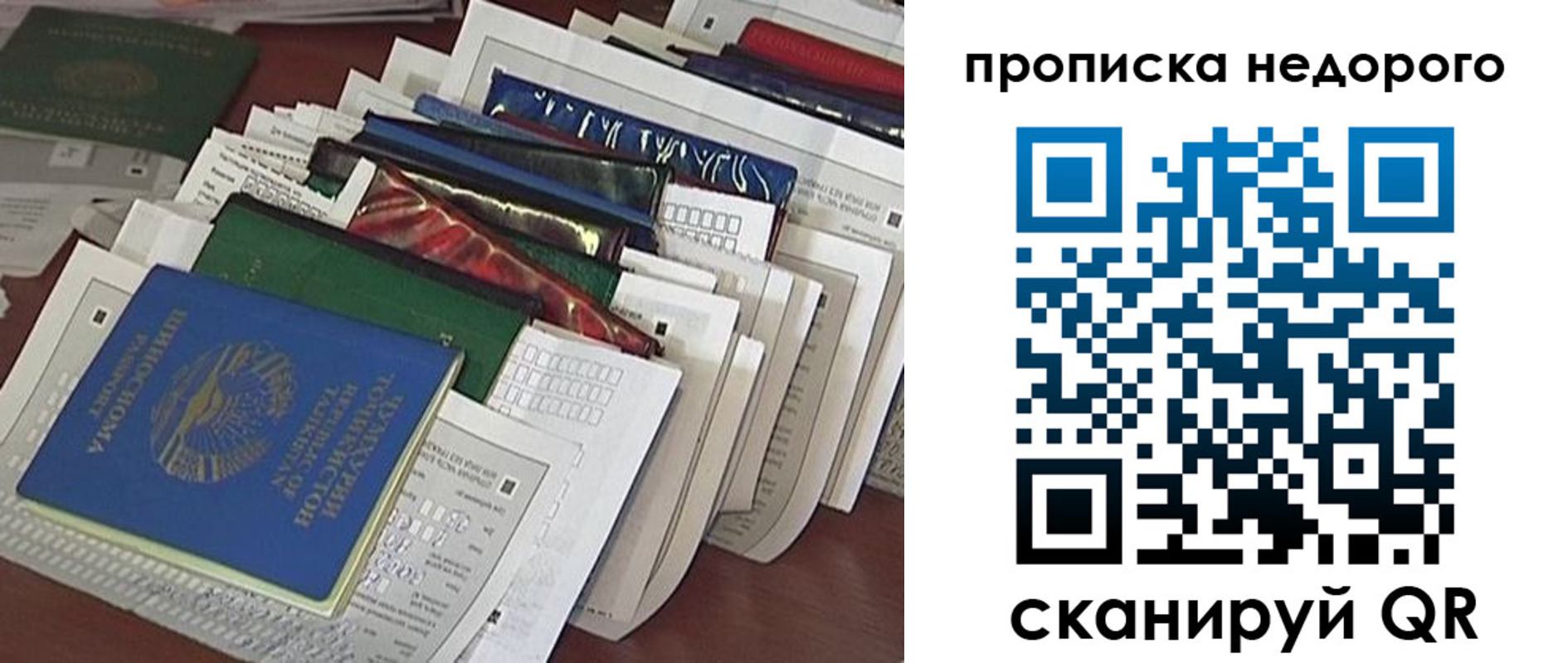 прописка гарантия в Луге
