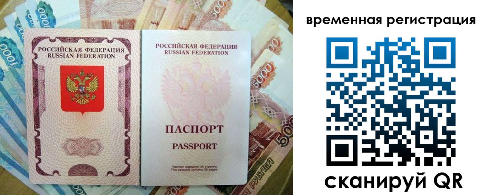 прописка для школы в Луге